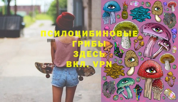 круглые Каменногорск