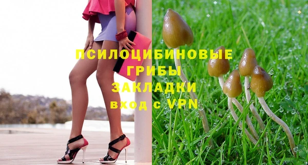 круглые Каменногорск