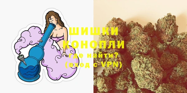 гидропоника Иннополис