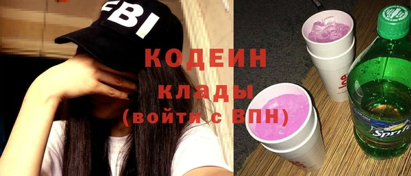 индика Каменск-Шахтинский