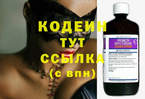 индика Каменск-Шахтинский