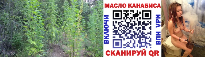 закладка  мега зеркало  ТГК жижа  Железноводск 