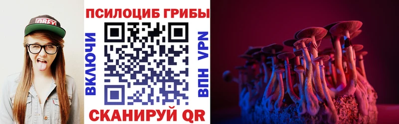Галлюциногенные грибы Psilocybine cubensis  блэк спрут как зайти  Железноводск 