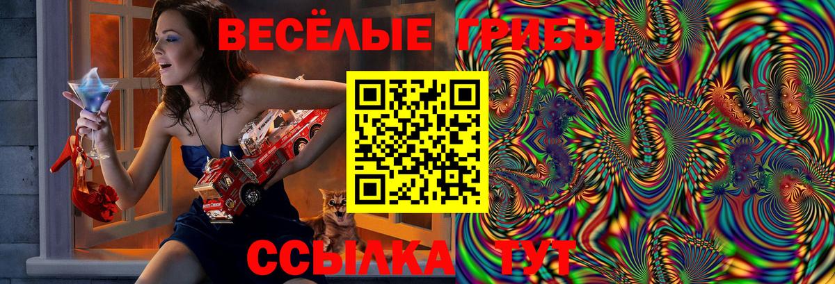 Псилоцибиновые грибы GOLDEN TEACHER  Галлюциногенные грибы Magic Shrooms  Железноводск  Вход с VPN 